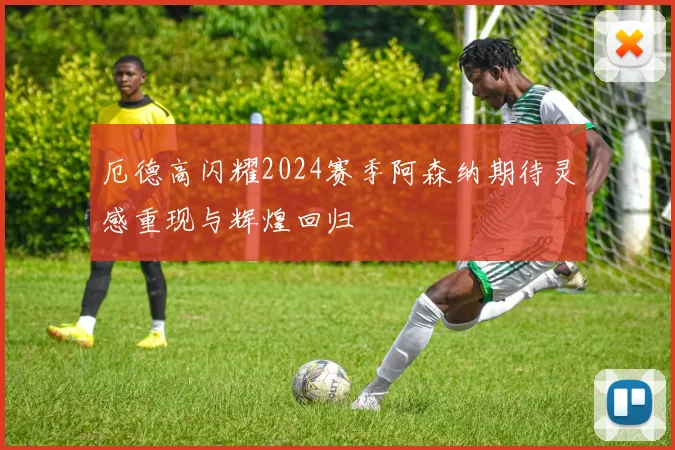 厄德高闪耀2024赛季阿森纳期待灵感重现与辉煌回归